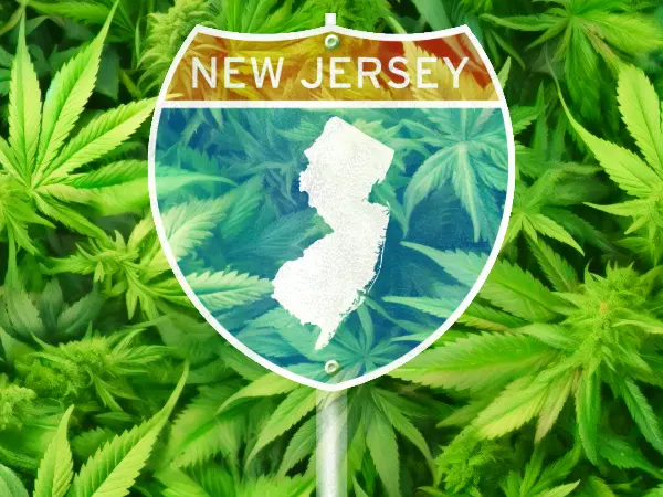 New Jersey sign with cannabis leaves in the background.