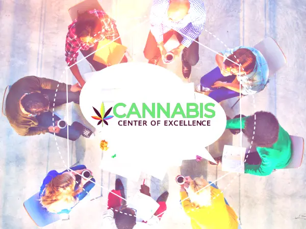 Group of people in conversation about the Cannabis Center of Excellence.