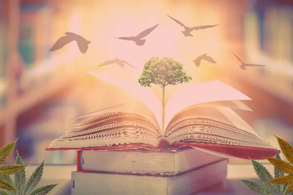 Books with a tree growing out of it and birds flying overhead.