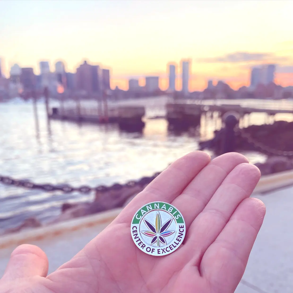 Cannabis Center of Excellence Pin in the Palm of a hand. Beatiful city background.