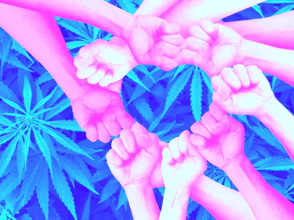 Fists together in the shape of a heart. Blue tinted medicinal cannabis leaves in the background.