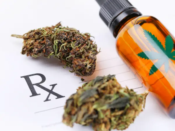 Medical cannabis flower with medical cannabis oil on a prescription pad.