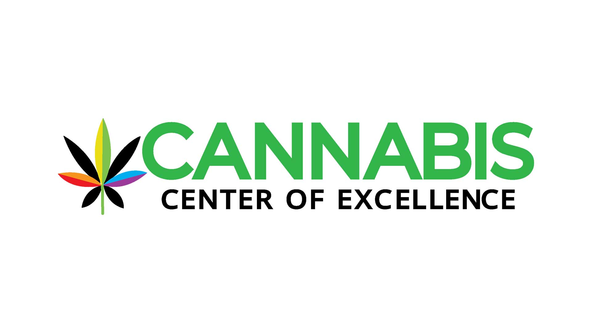 Cannabis Center of Excellence Logo.  Image for cannabis medicine for harm reduction study in denmark.