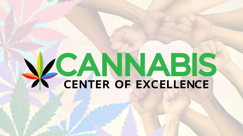 Cannabis Center of Excellence. Hands together  in a circle with multi-colored cannabis leaves to the left.