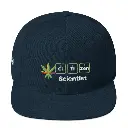 Citizen Scientist Snapback